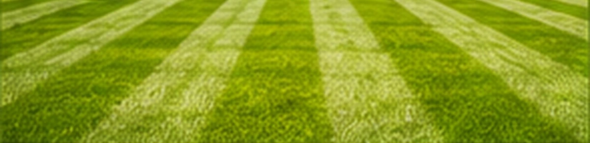 Freshly cut striped lawn